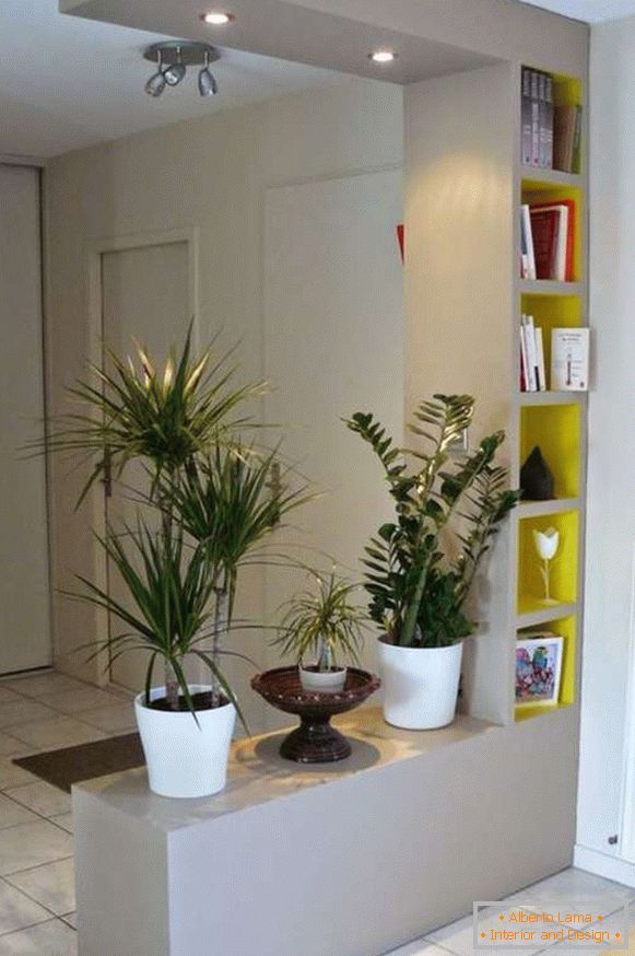 piante d'appartamento originali all'interno del corridoio, foto 13