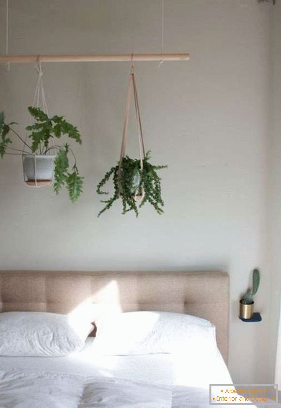 piante all'interno di una camera da letto, foto 27