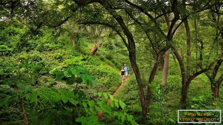 Escursioni nella giungla del Nicaragua