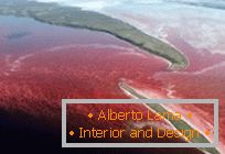 Un insolito lago rosso nel nord del Canada