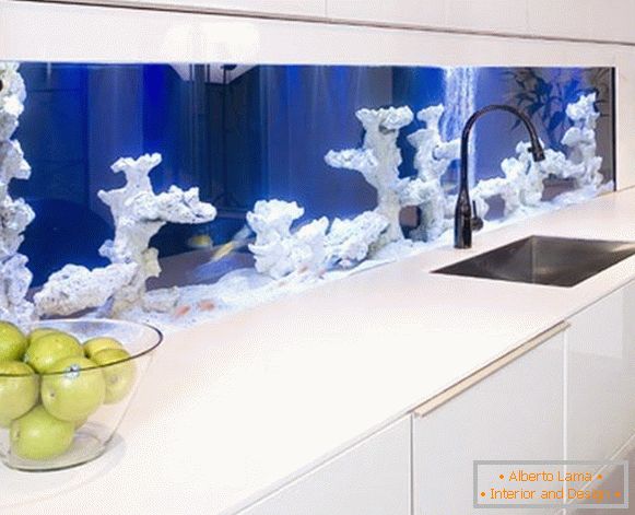 Un acquario con coralli in cucina