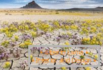 Deserti in Utah, esplosi a colori