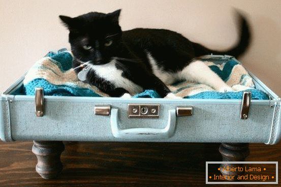 Posto per un gatto da una valigia
