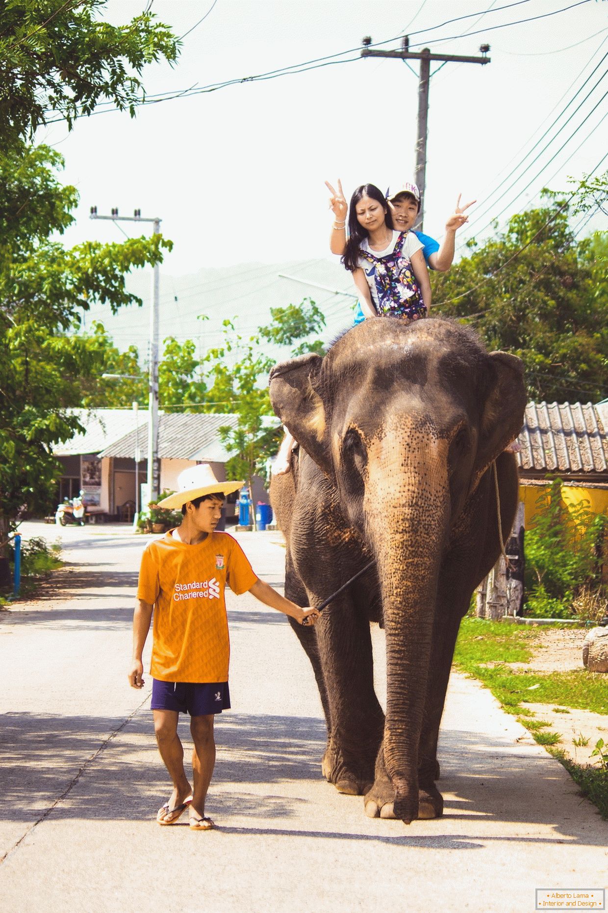 Viaggiando su un elefante