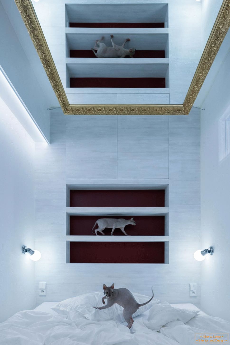 Design moderno di un piccolo appartamento - gatti all'interno