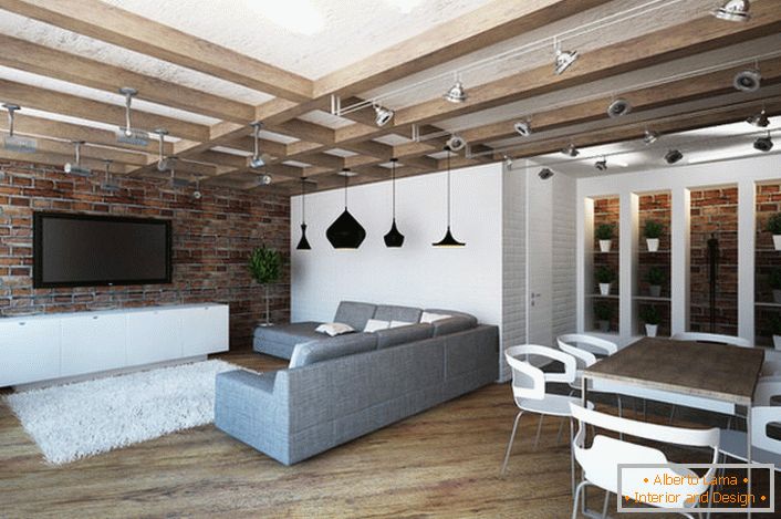 L'ampio soggiorno in stile loft si distingue per lo spazio ben organizzato, che è condizionatamente diviso in una zona pranzo e un'area di riposo.