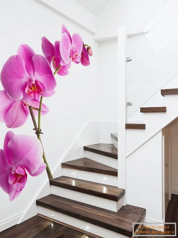 Foto di orchidee sulle scale