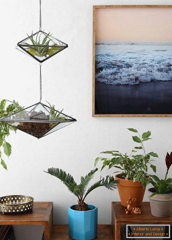 Decorazione pendente - vasi di vetro con piante