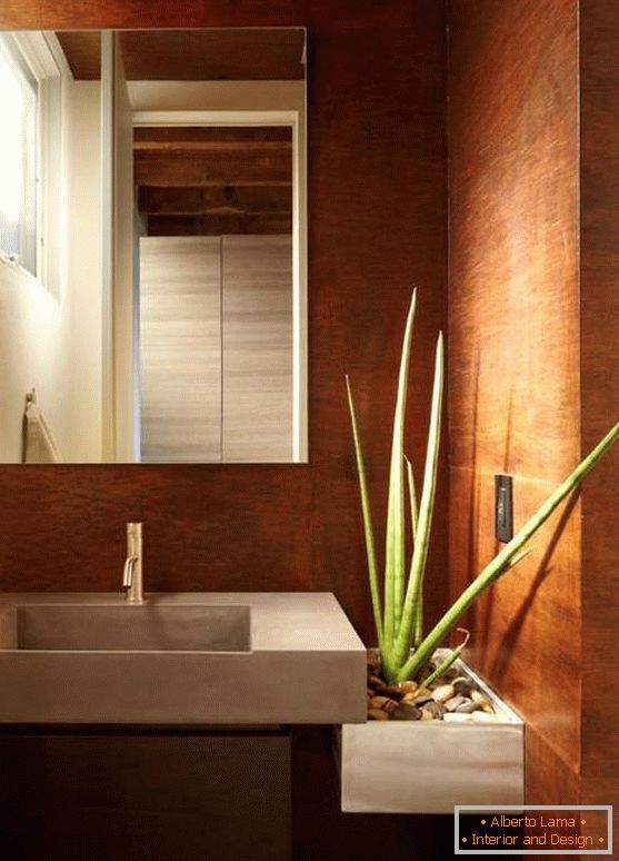 Aloe vera in un bagno moderno