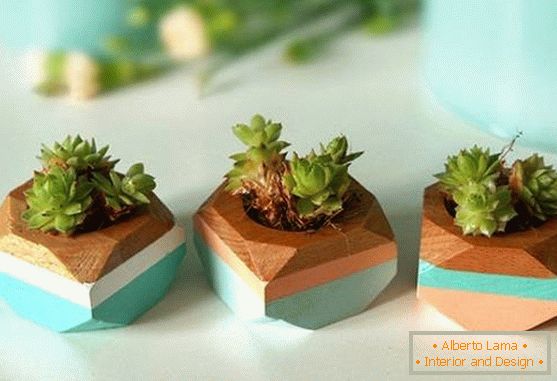 Belle vasi di piante in legno