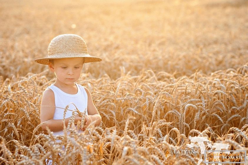 Un bambino in un campo di grano