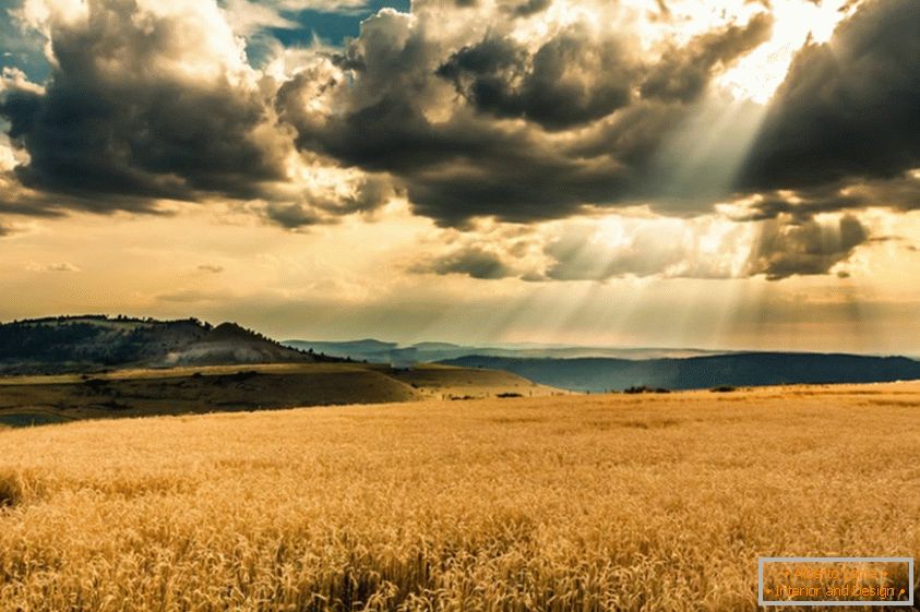 Il sole si fa strada tra le nuvole, sopra il campo di grano