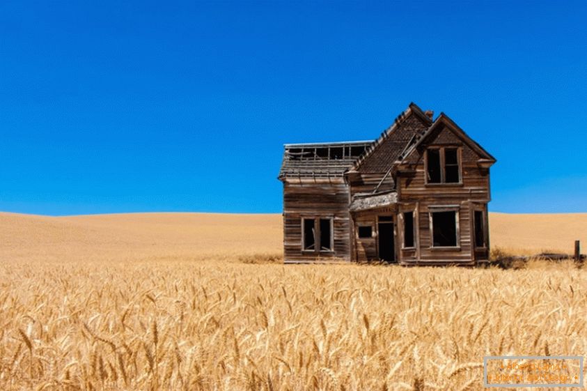 Vecchia casa in un campo di grano