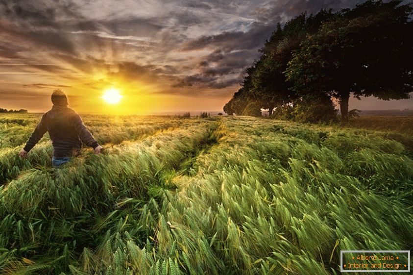 Un uomo in un campo di grano, il fotografo Paul Wozniak
