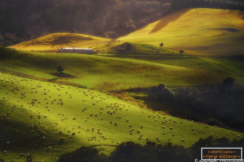 Paesaggi della Nuova Zelanda Dylan Toh